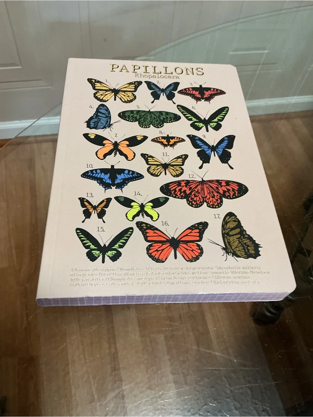 Brand new Beautiful journal